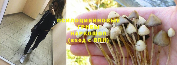 mdpv Протвино