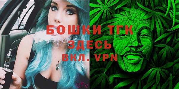 шишки Покров