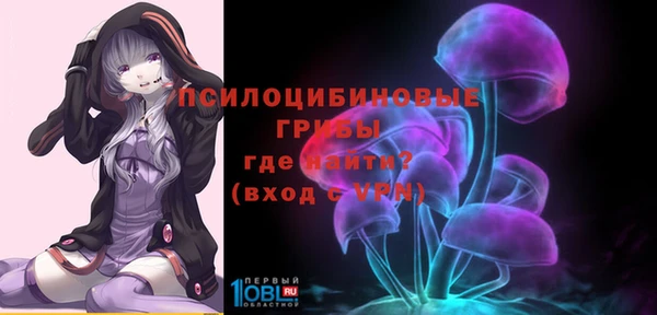 экстази Покачи