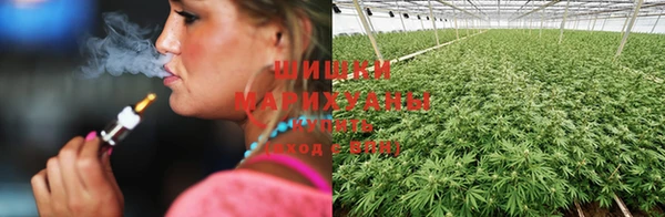 mdpv Протвино